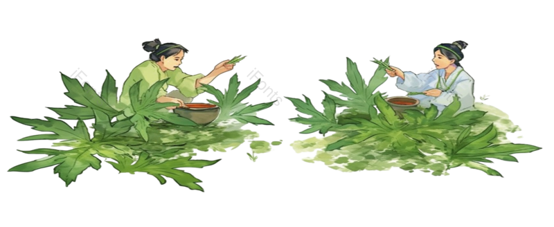 小满图片,蔬菜元素,人物PNG,绿色蔬菜免抠素材